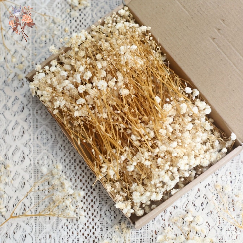 100 Pezzi Mini Fiori Secchi di - Craft Embellishment recensione e prezzo
