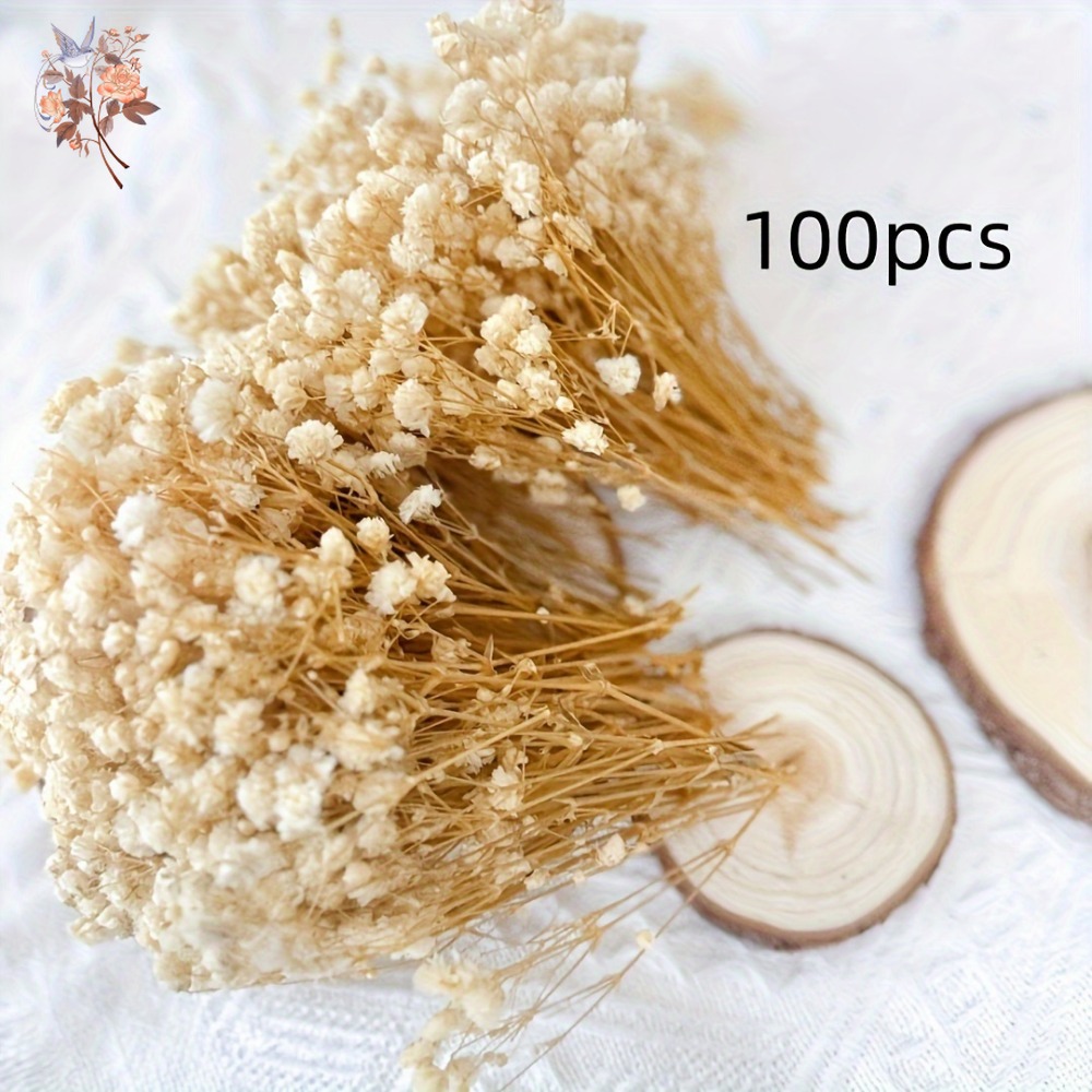100 Pezzi Mini Fiori Secchi di - Craft Embellishment recensione e prezzo