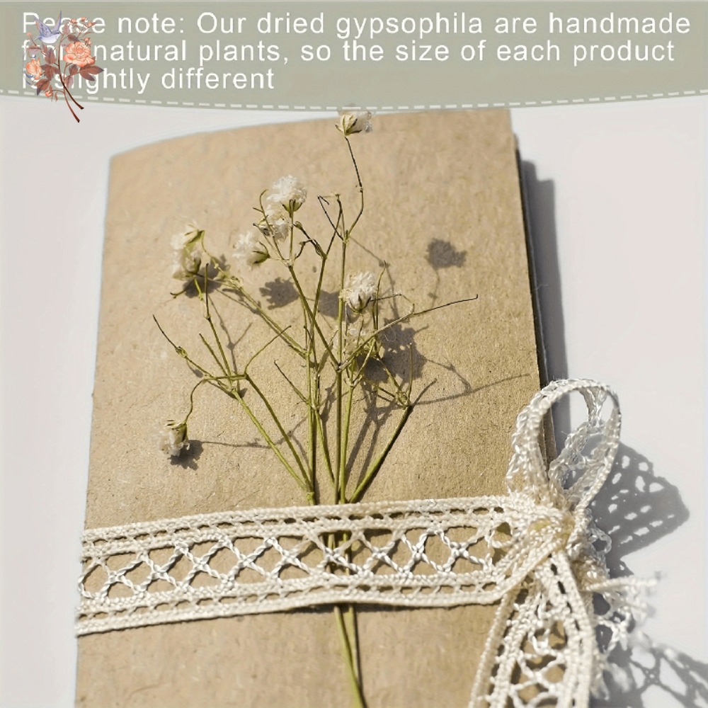 100 Pezzi Mini Fiori Secchi di - Craft Embellishment recensione e prezzo